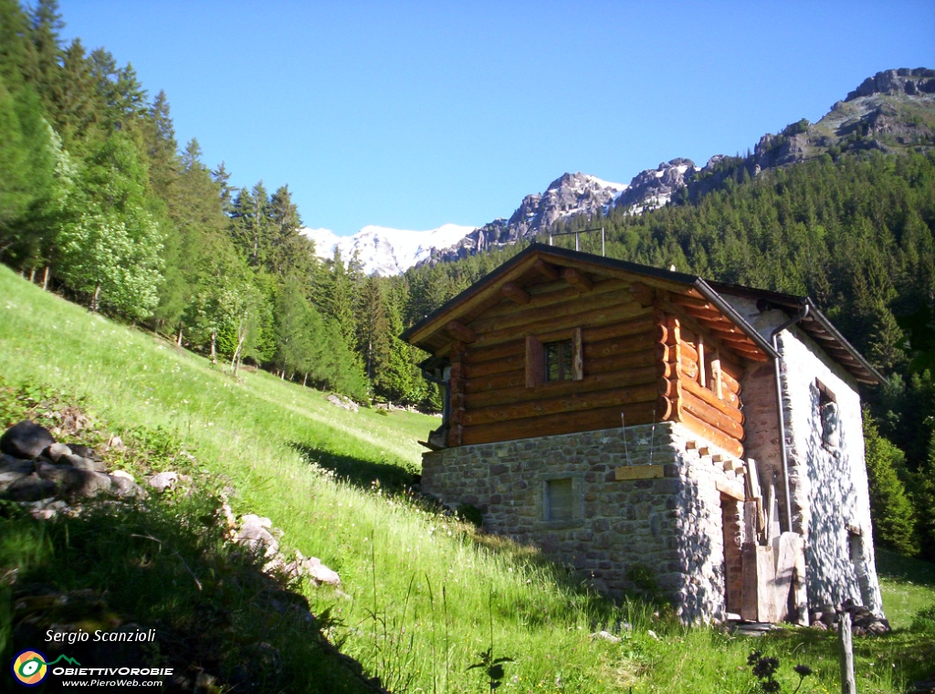 12 Manca solo Heidi.JPG